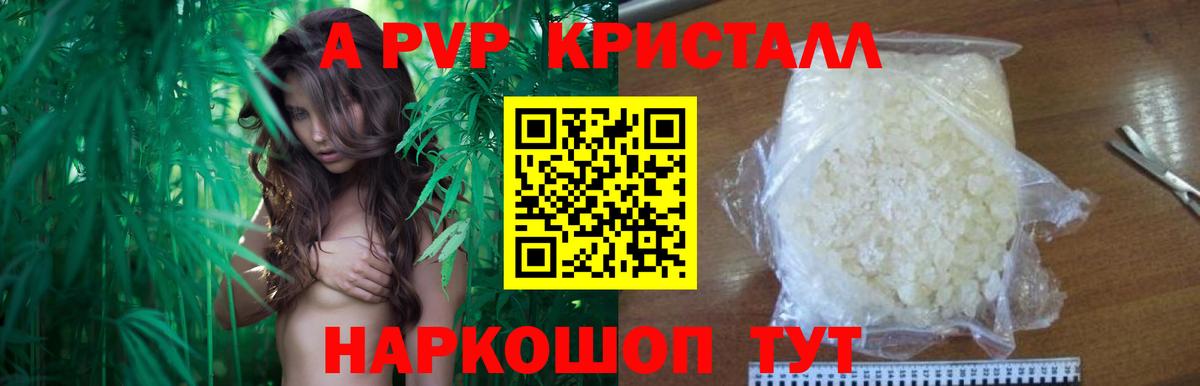 А ПВП крисы CK Усть-Джегута