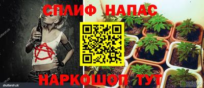 гашик Нягань