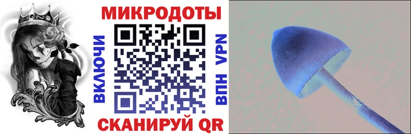 Галлюциногенные грибы мухоморы  купить наркотики цена  Усть-Джегута 