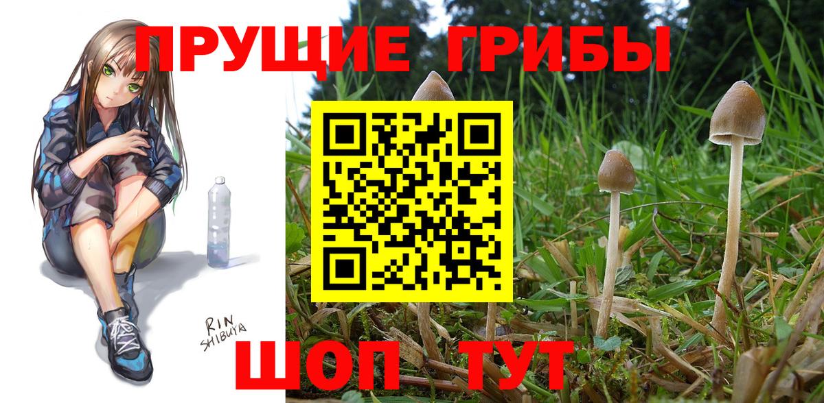 Галлюциногенные грибы MAGIC MUSHROOMS Усть-Джегута